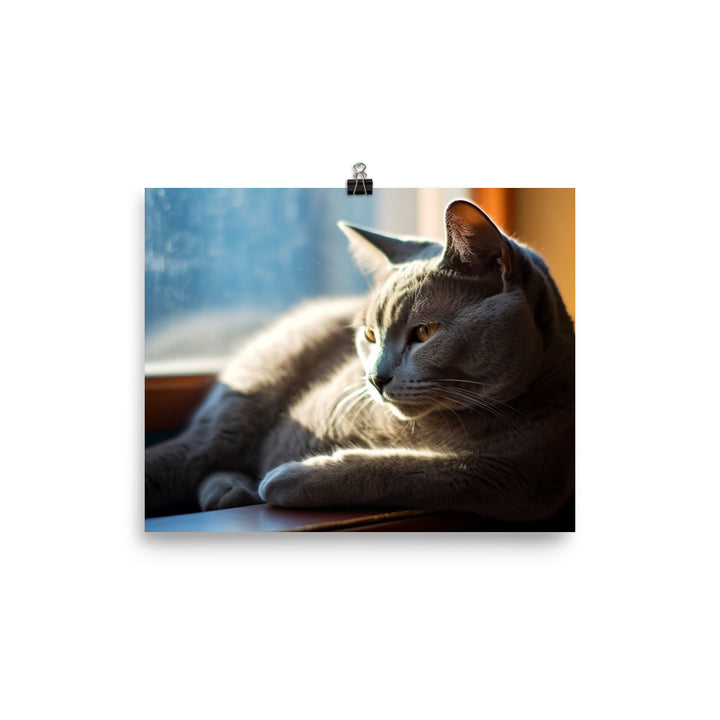 Serene Russian Blue Cat photo paper poster - Posterfy.AI