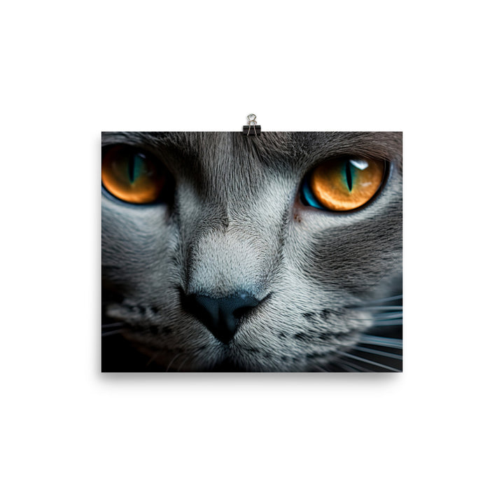 Eyes of a Russian Blue Cat photo paper poster - Posterfy.AI