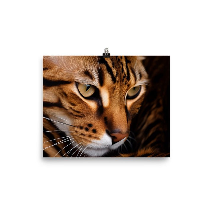 Exquisite Bengal photo paper poster - Posterfy.AI