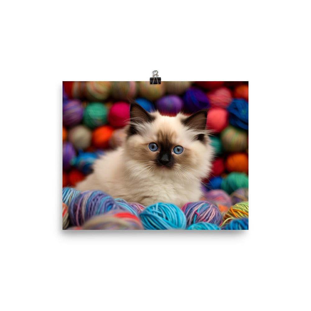 Birman Playtime photo paper poster - Posterfy.AI