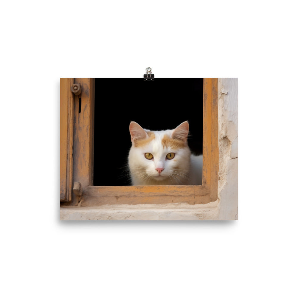 Curious Turkish Van photo paper poster - Posterfy.AI