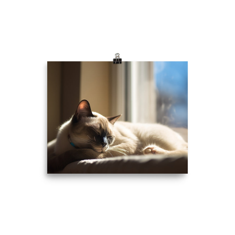 Sleeping Siamese on a Windowsill photo paper poster - Posterfy.AI