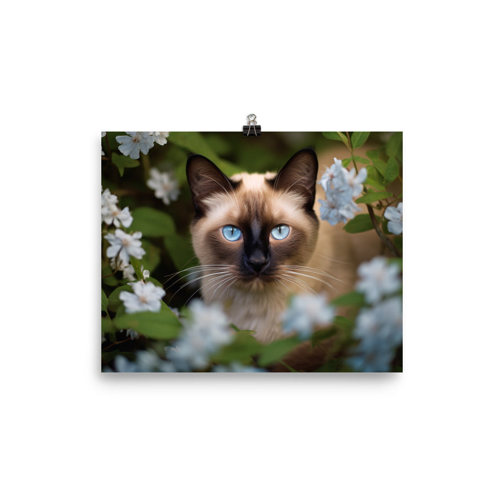 Curious Siamese in the Garden photo paper poster - Posterfy.AI