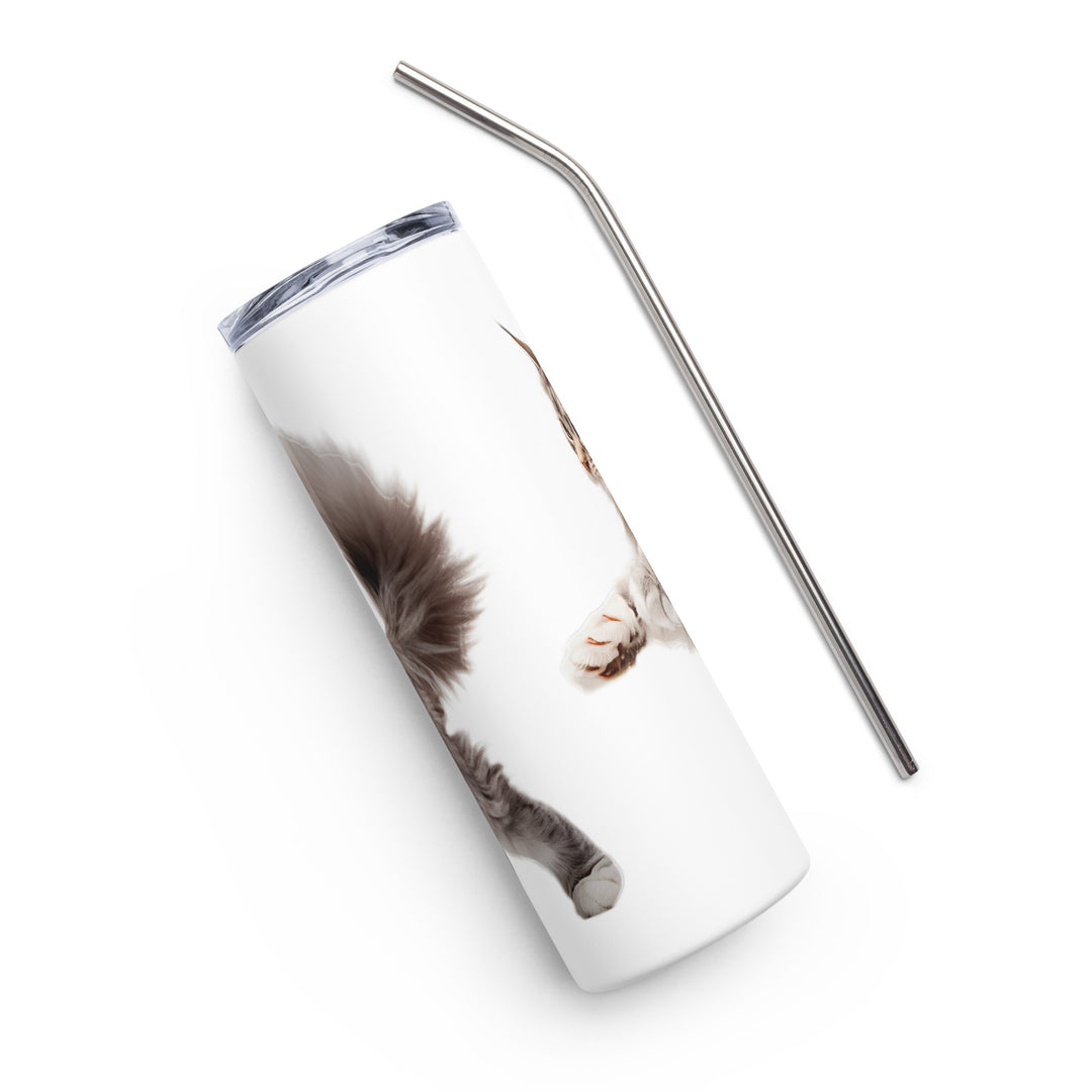 Maine Coon Cat Tumbler