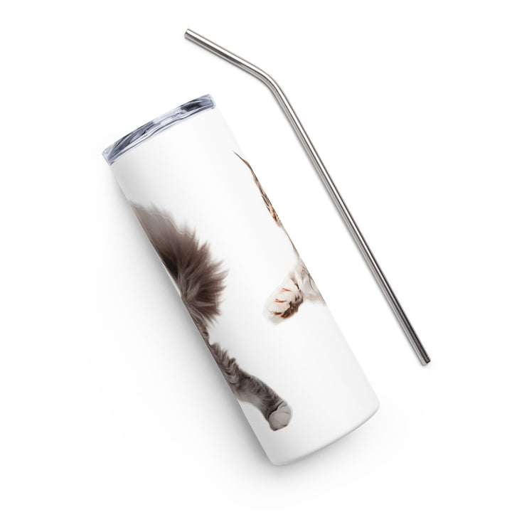 Maine Coon Cat Tumbler