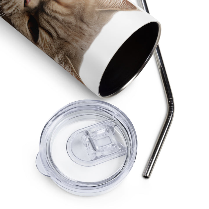 Exotic Shorthair Tumbler - PosterfyAI.com