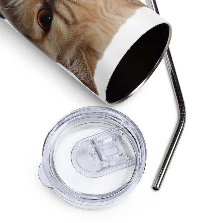 Exotic Shorthair Tumbler - PosterfyAI.com