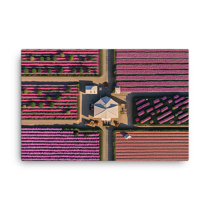 Aerial view of a flower farm canvas - Posterfy.AI