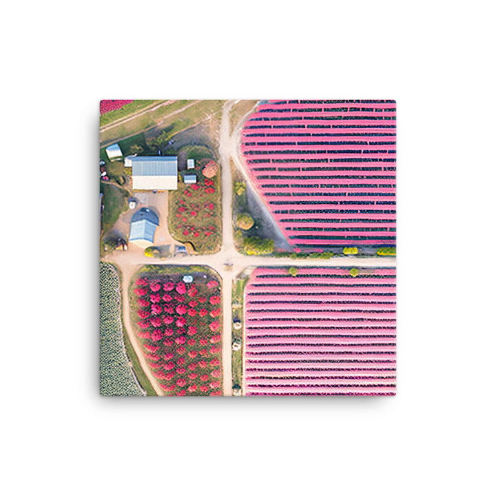 Aerial view of a flower farm canvas - Posterfy.AI