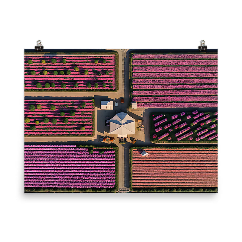 Aerial view of a flower farm photo paper poster - Posterfy.AI