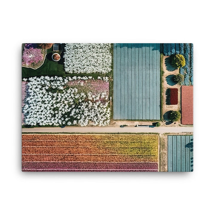 Aerial view of a large flower farm canvas - Posterfy.AI