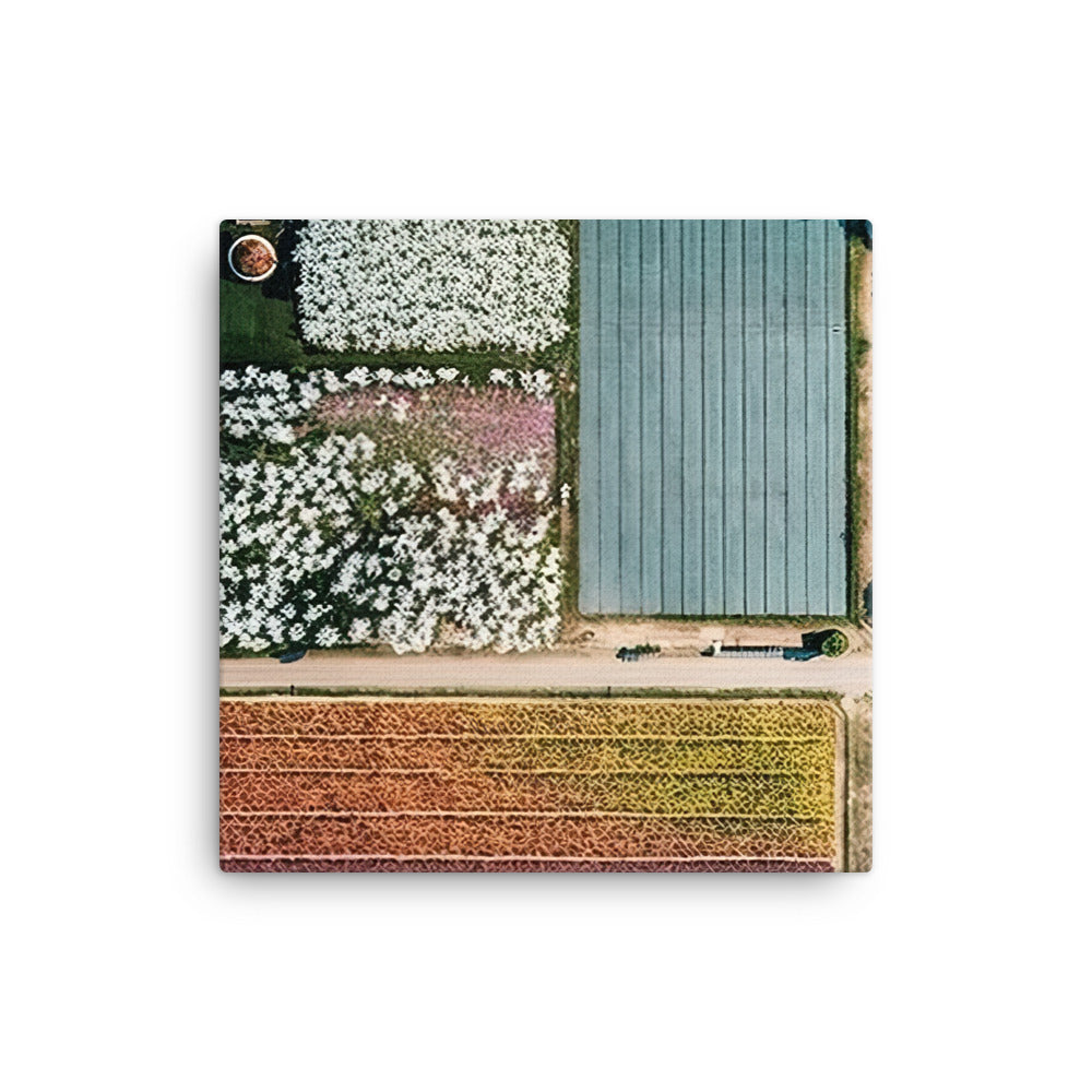 Aerial view of a large flower farm canvas - Posterfy.AI