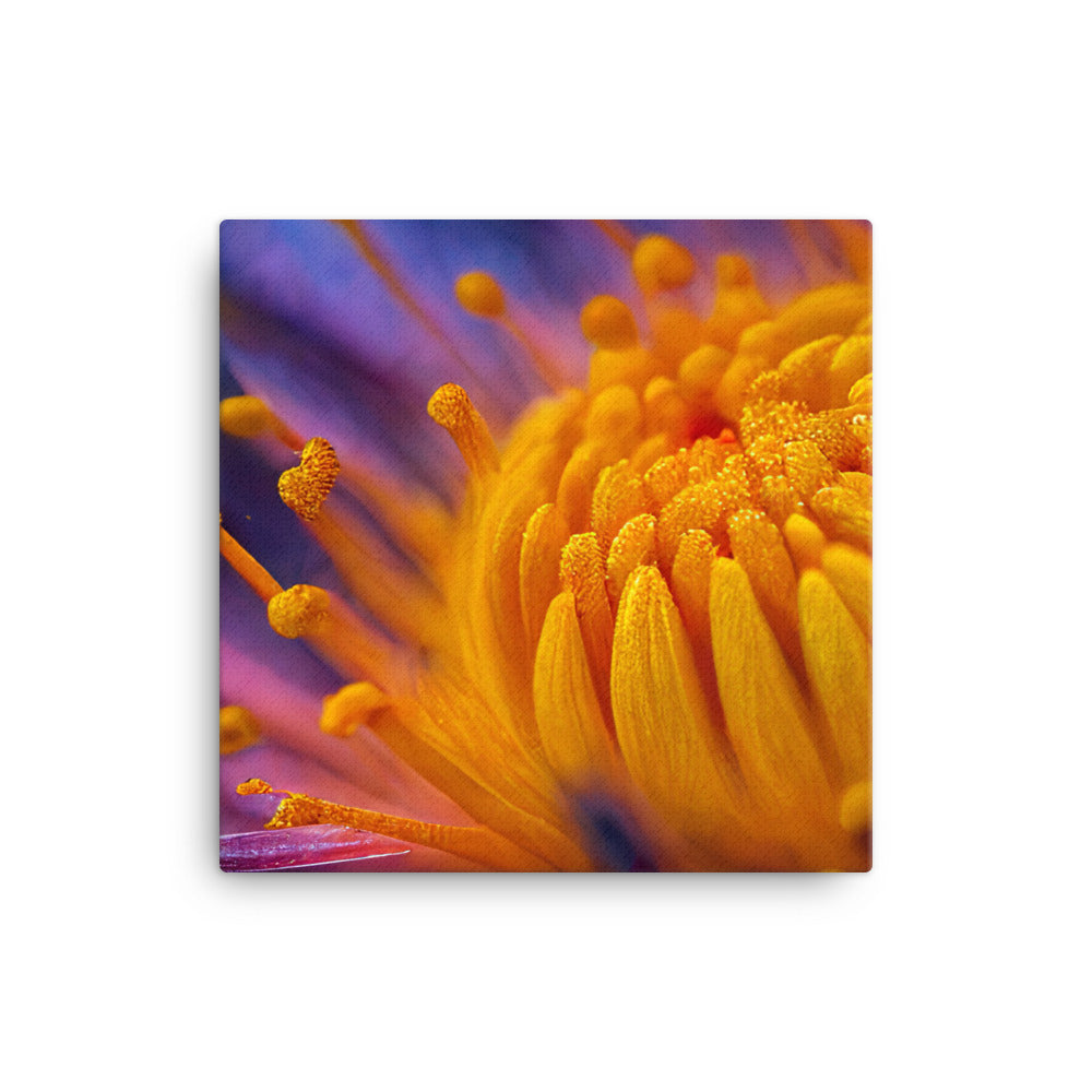 Macro shot of a vibrant flower canvas - Posterfy.AI