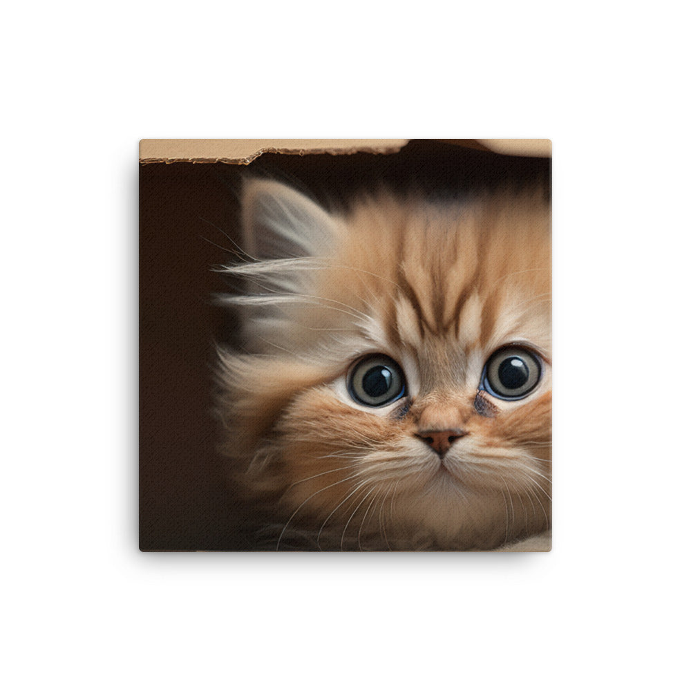 A fluffy kitten peering curiously out of a small cardboard box canvas - Posterfy.AI