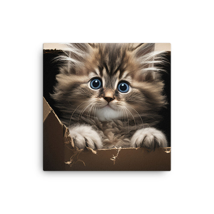 A fluffy kitten peering curiously out of a small cardboard box canvas - Posterfy.AI