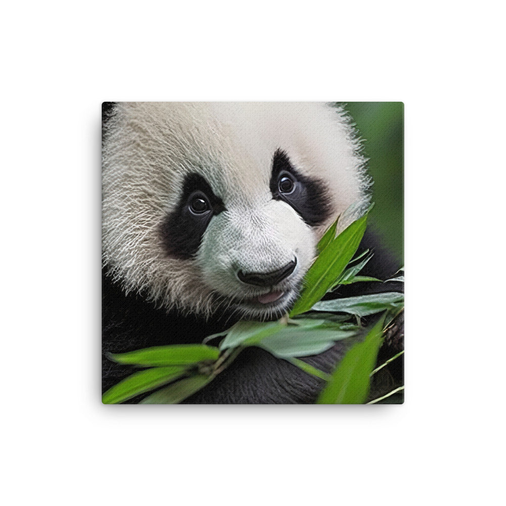 A cute panda bear enjoying a feast of bamboo leaves canvas - Posterfy.AI