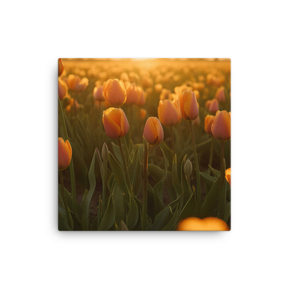 Tulips in the Golden Hour canvas - Posterfy.AI