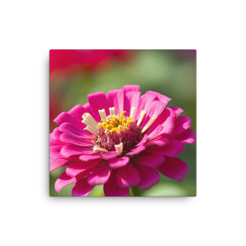 Vibrant Zinnias in Full Bloom canvas - Posterfy.AI