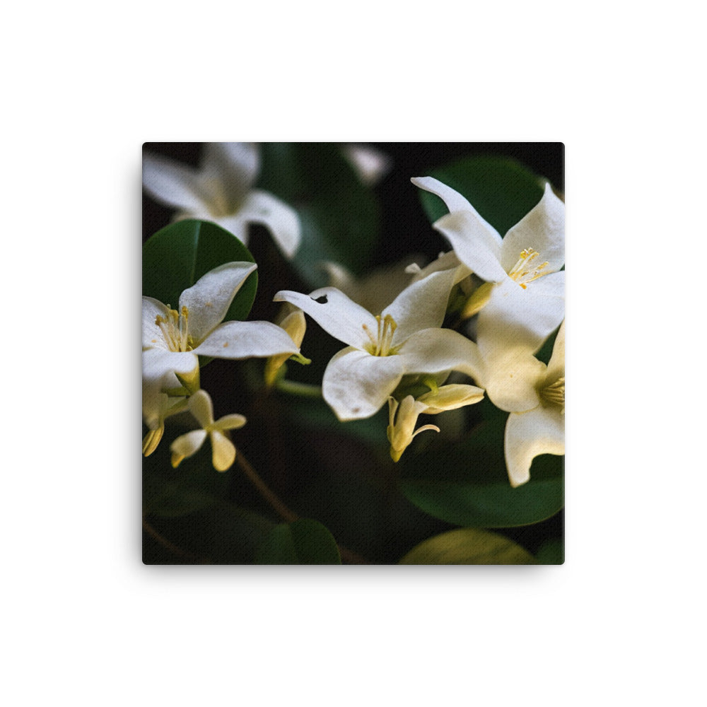 The Elegance of Jasmine Flowers at Night canvas - Posterfy.AI