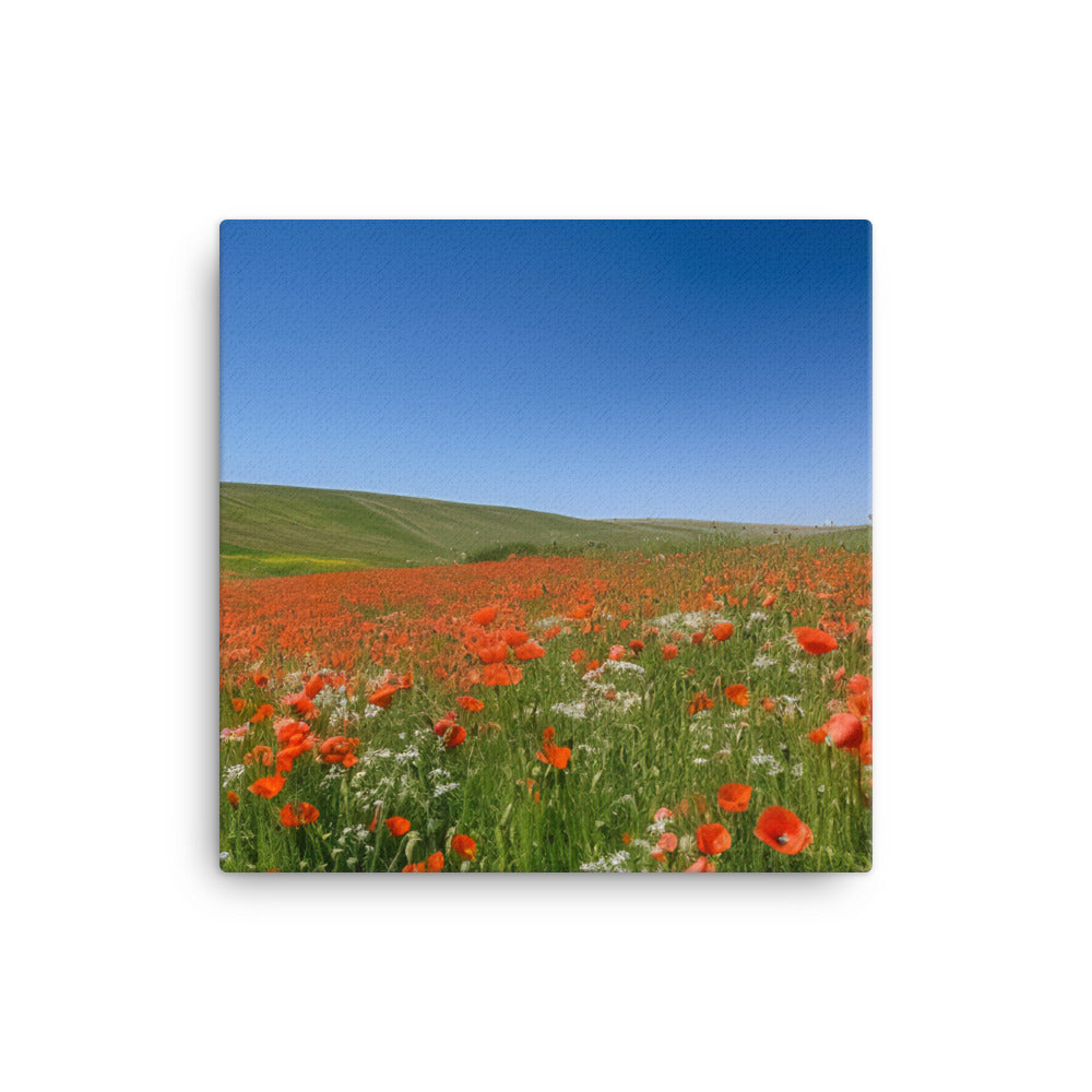 Vibrant Poppy blooms against a blue sky canvas - Posterfy.AI