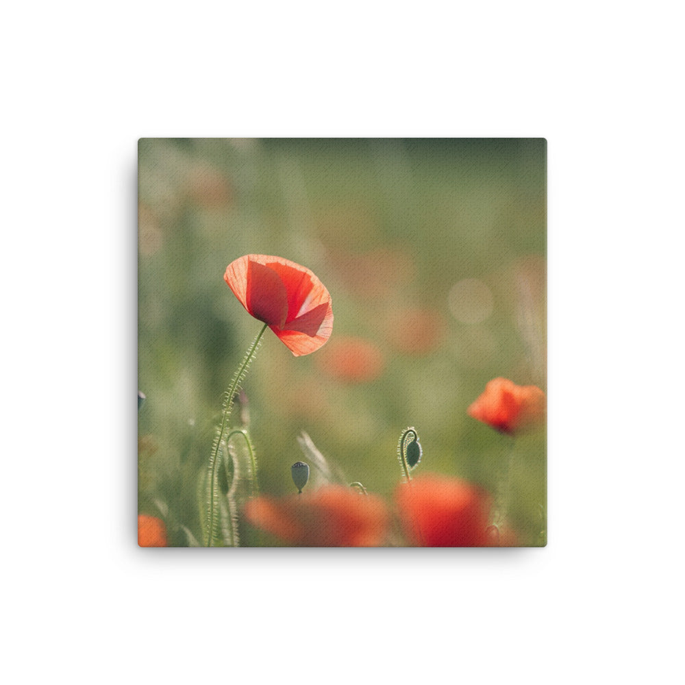 Capturing the beauty of Poppy fields at sunrise canvas - Posterfy.AI