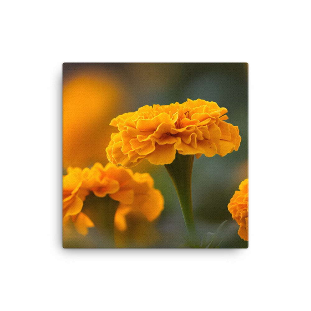 Exploring the Delicate Beauty of Marigolds canvas - Posterfy.AI