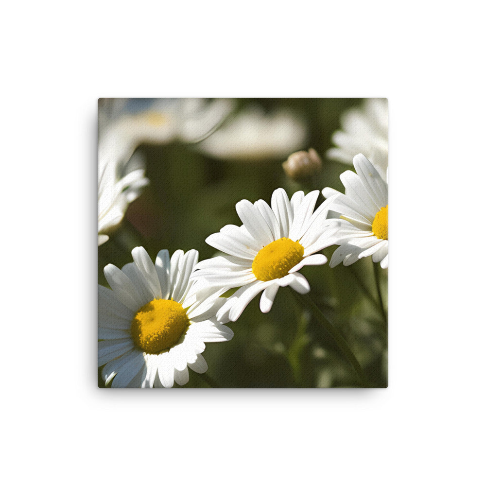 Dazzling Daisies canvas - Posterfy.AI