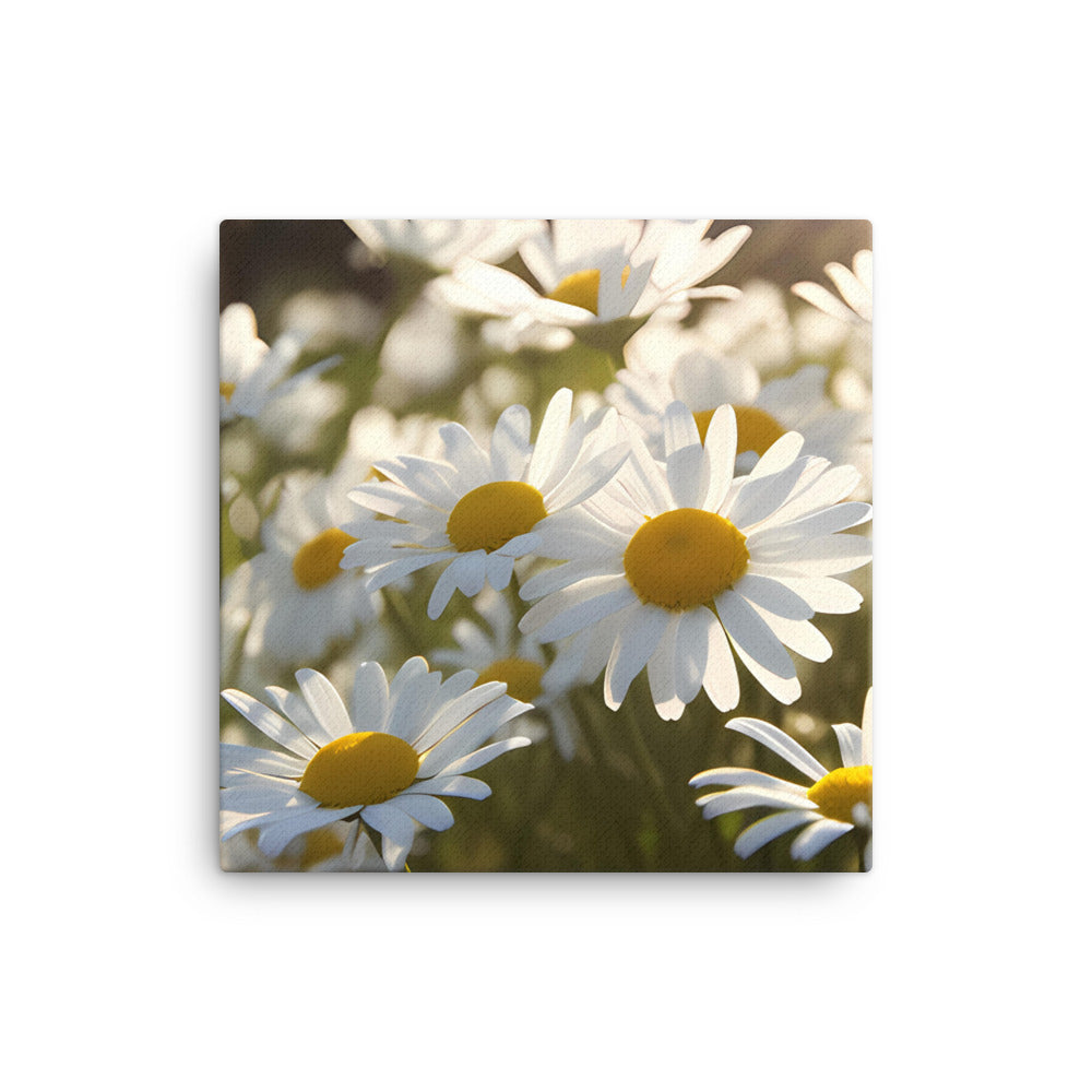 Dazzling Daisies canvas - Posterfy.AI