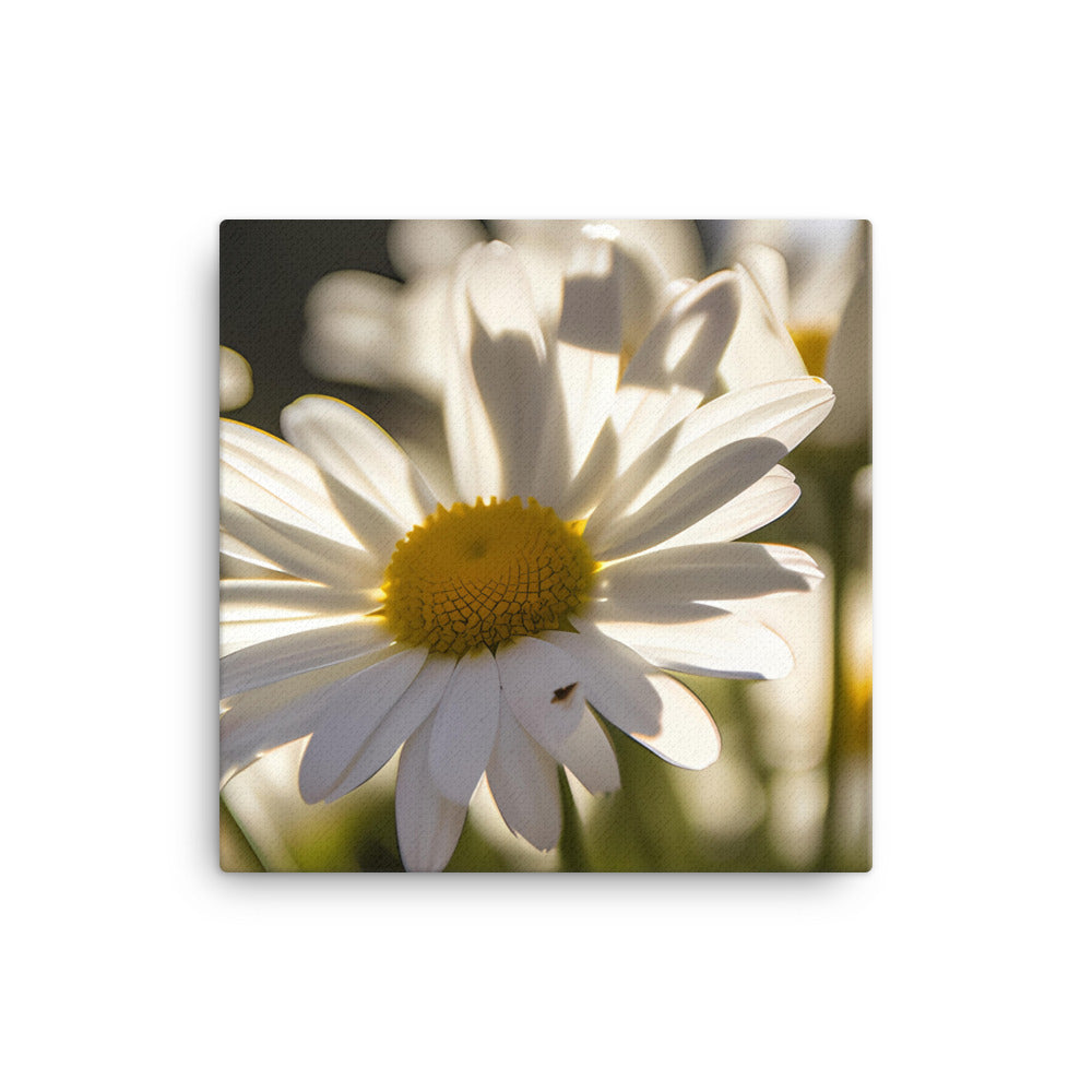 Dazzling Daisies canvas - Posterfy.AI