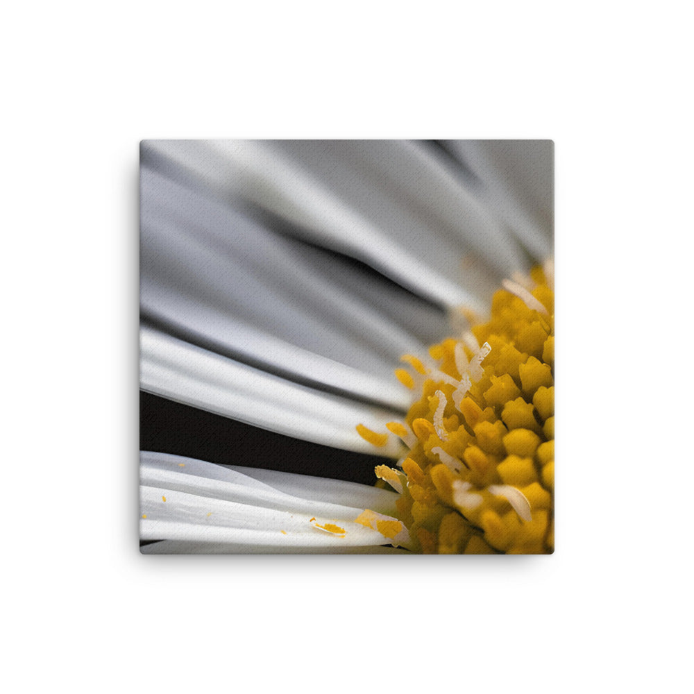 Daisy Petals canvas - Posterfy.AI