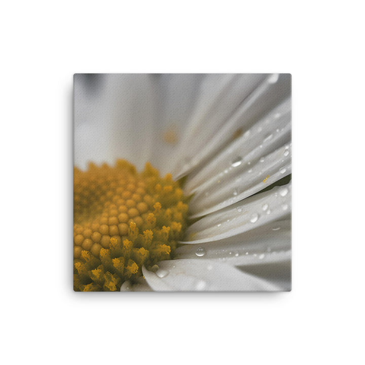 Daisy Petals canvas - Posterfy.AI