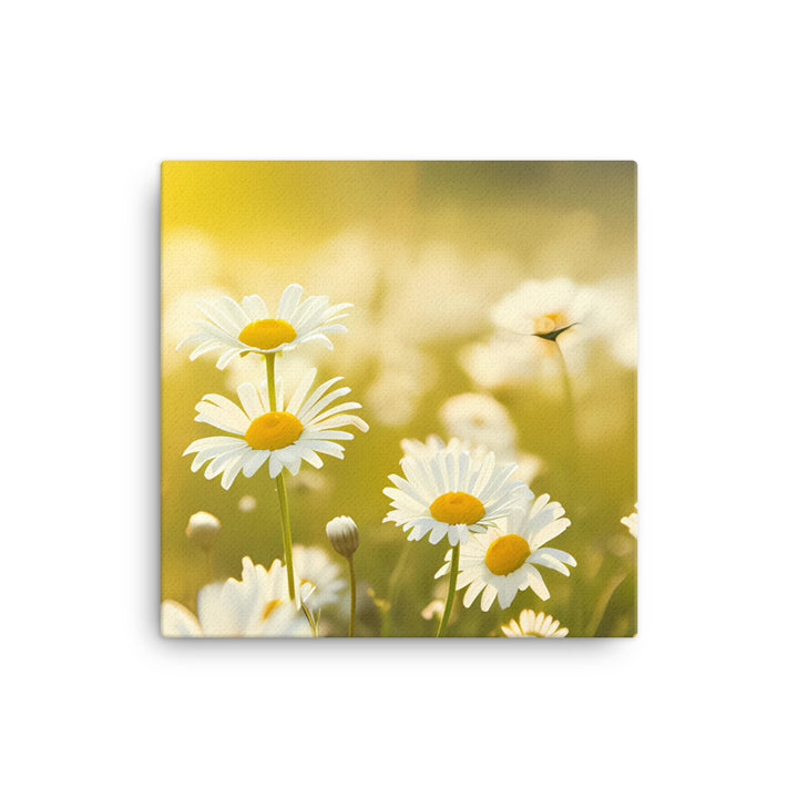 A Sea of Daisies canvas - Posterfy.AI