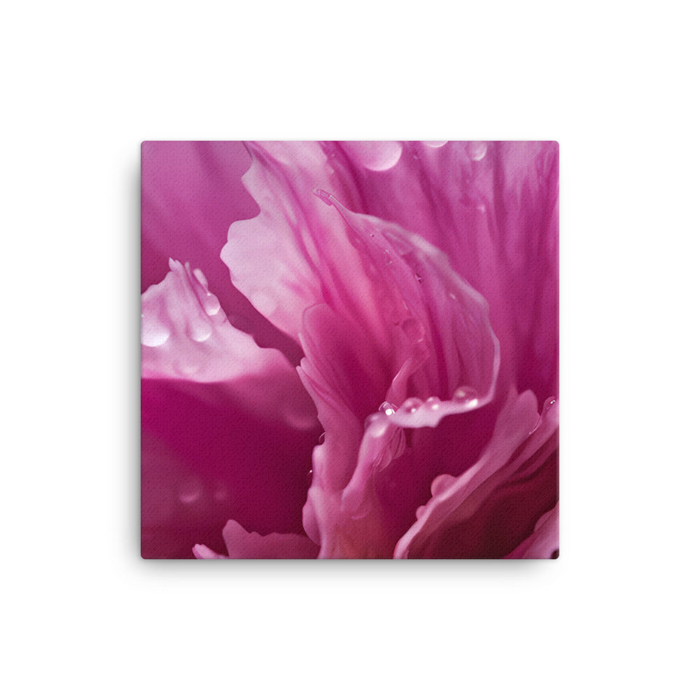 Carnations in Macro canvas - Posterfy.AI