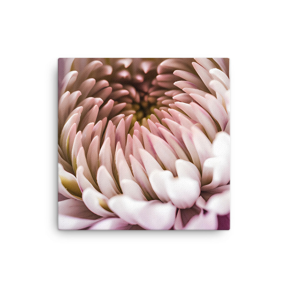 Chrysanthemum Center Stage canvas - Posterfy.AI