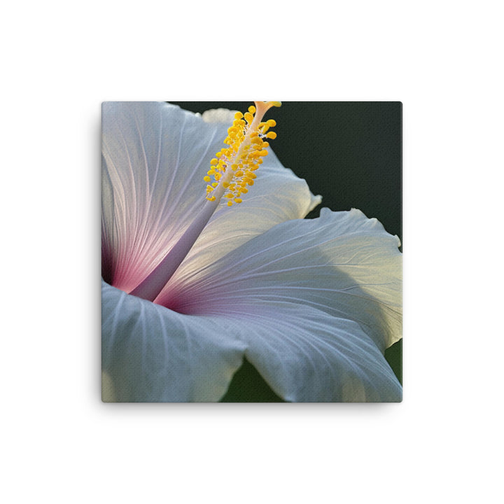 Hibiscus in the Morning Light canvas - Posterfy.AI