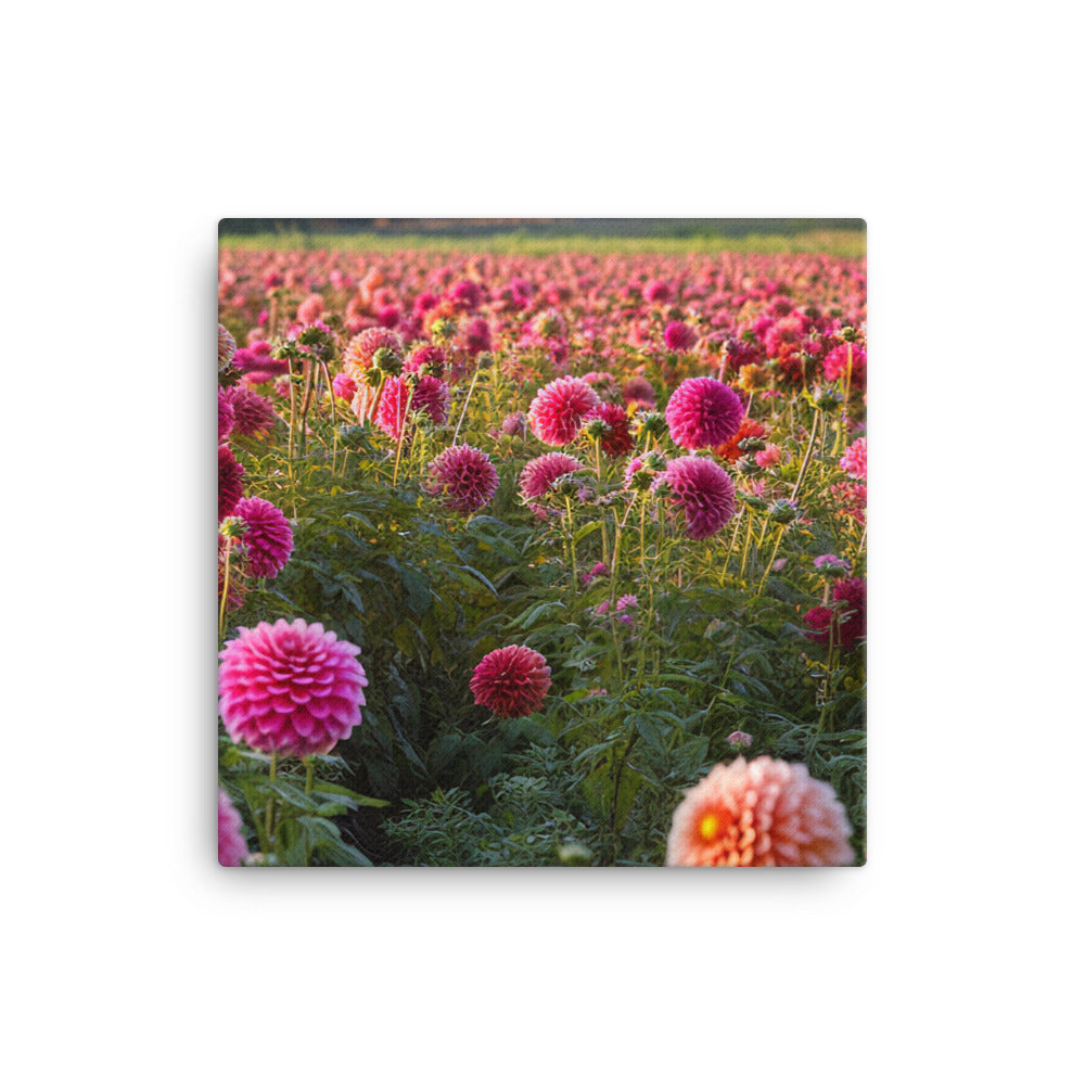 Dahlia Field in Bloom canvas - Posterfy.AI