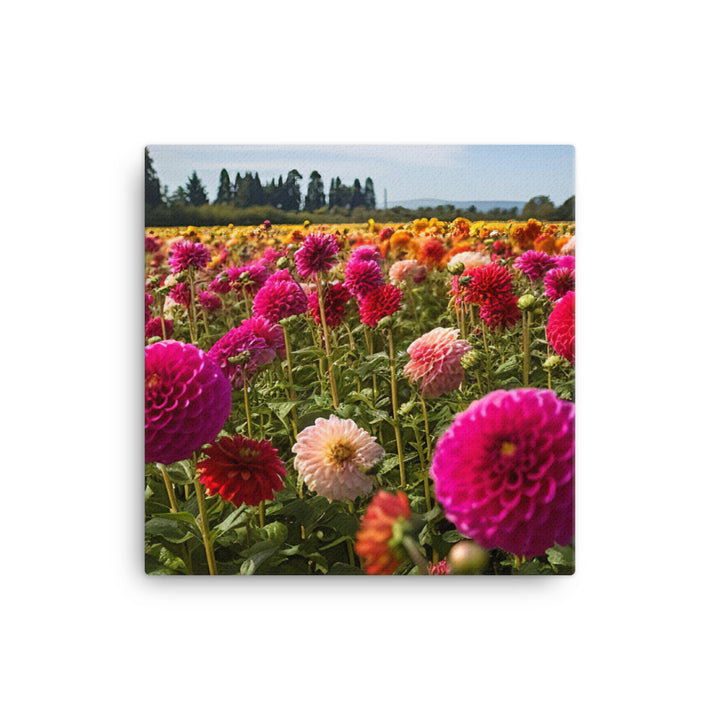 Dahlia Field in Bloom canvas - Posterfy.AI