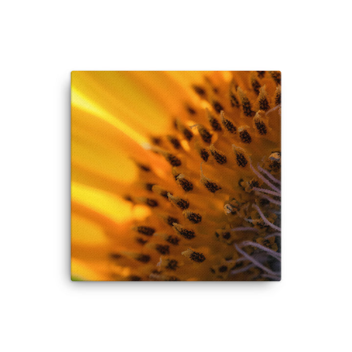 Up Close and Personal with Sunflowers canvas - Posterfy.AI