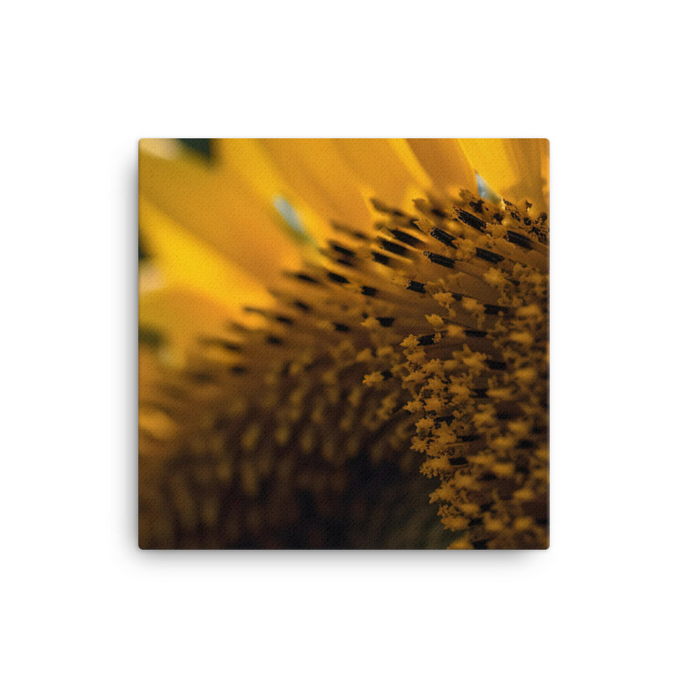 Up Close and Personal with Sunflowers canvas - Posterfy.AI
