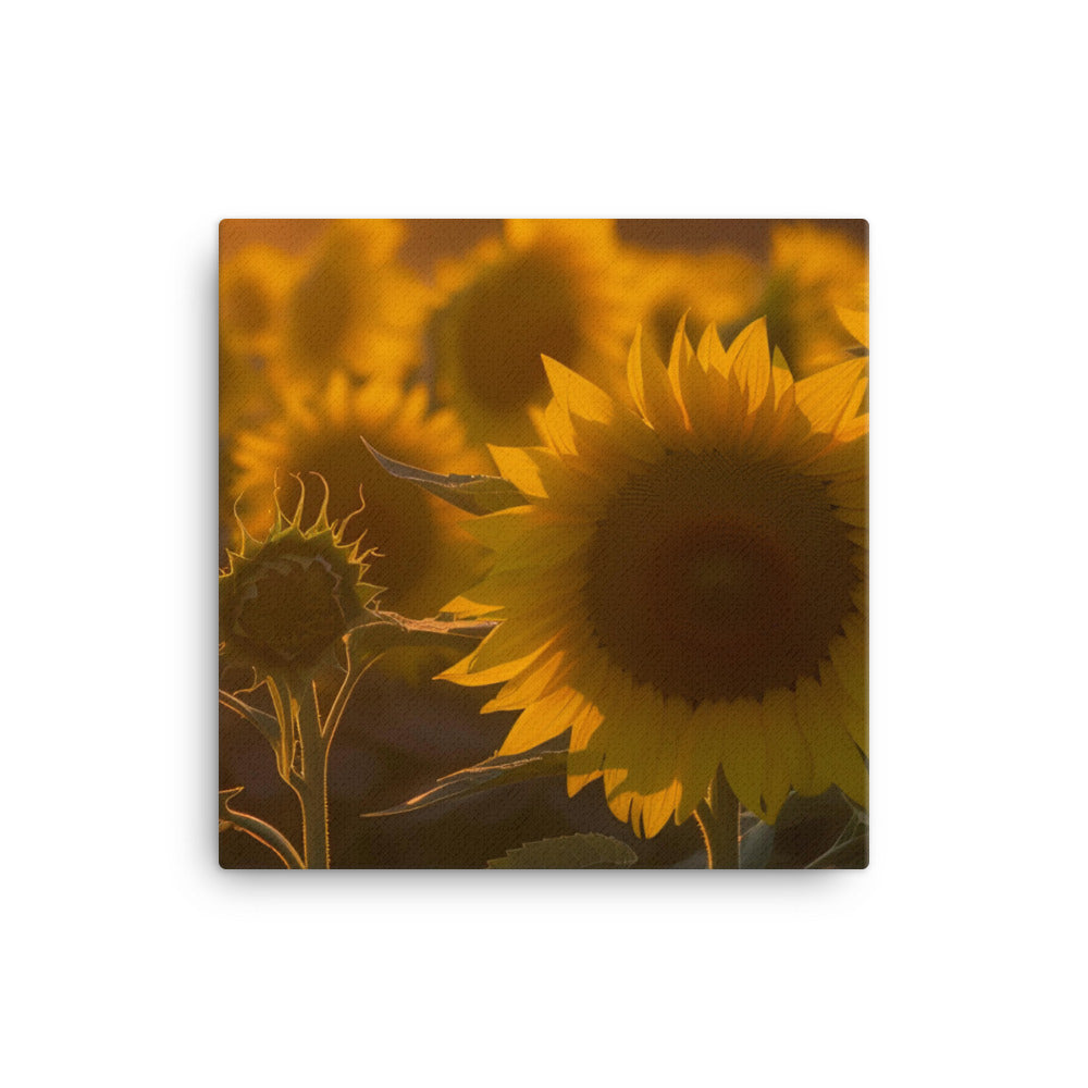 Sunflower Sunrise canvas - Posterfy.AI