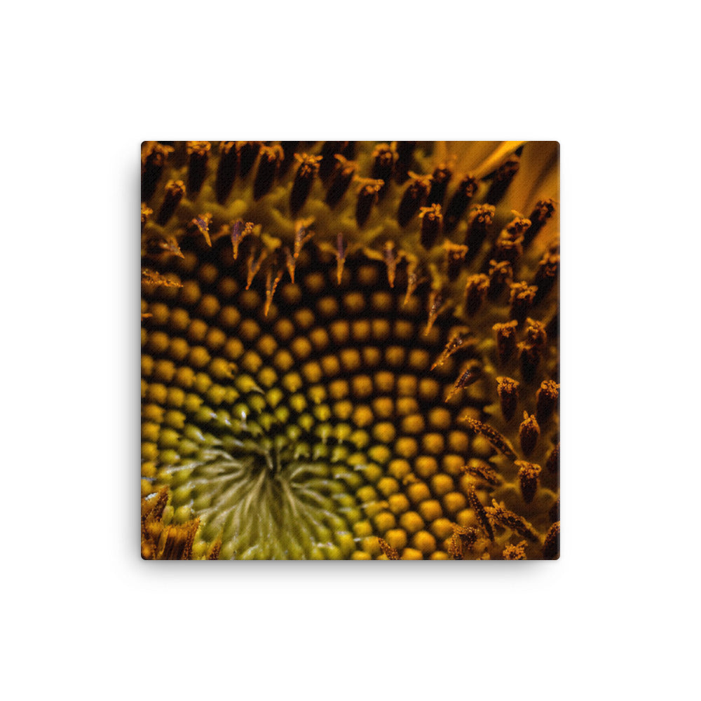 Sunflower Macro canvas - Posterfy.AI