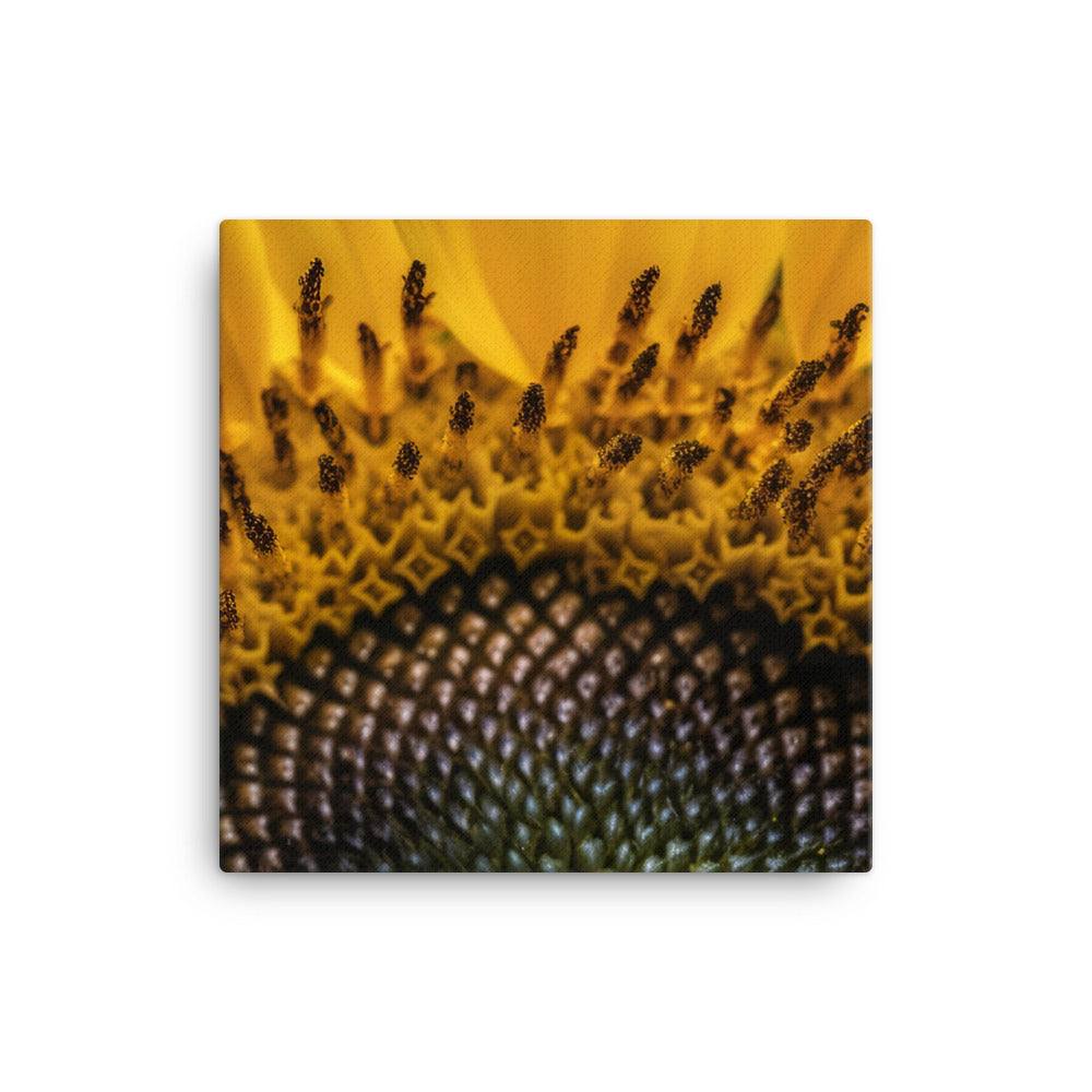 Sunflower Macro canvas - Posterfy.AI