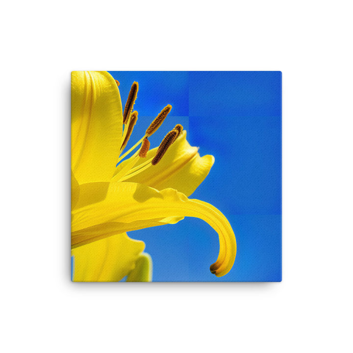 Yellow Lily Against the Sky canvas - Posterfy.AI