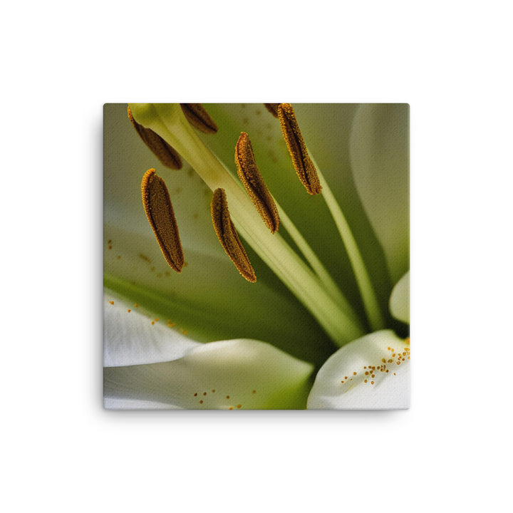 White Lily Close-Up canvas - Posterfy.AI