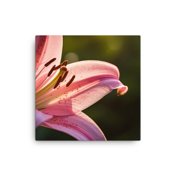 Pink Lily in the Sunlight canvas - Posterfy.AI