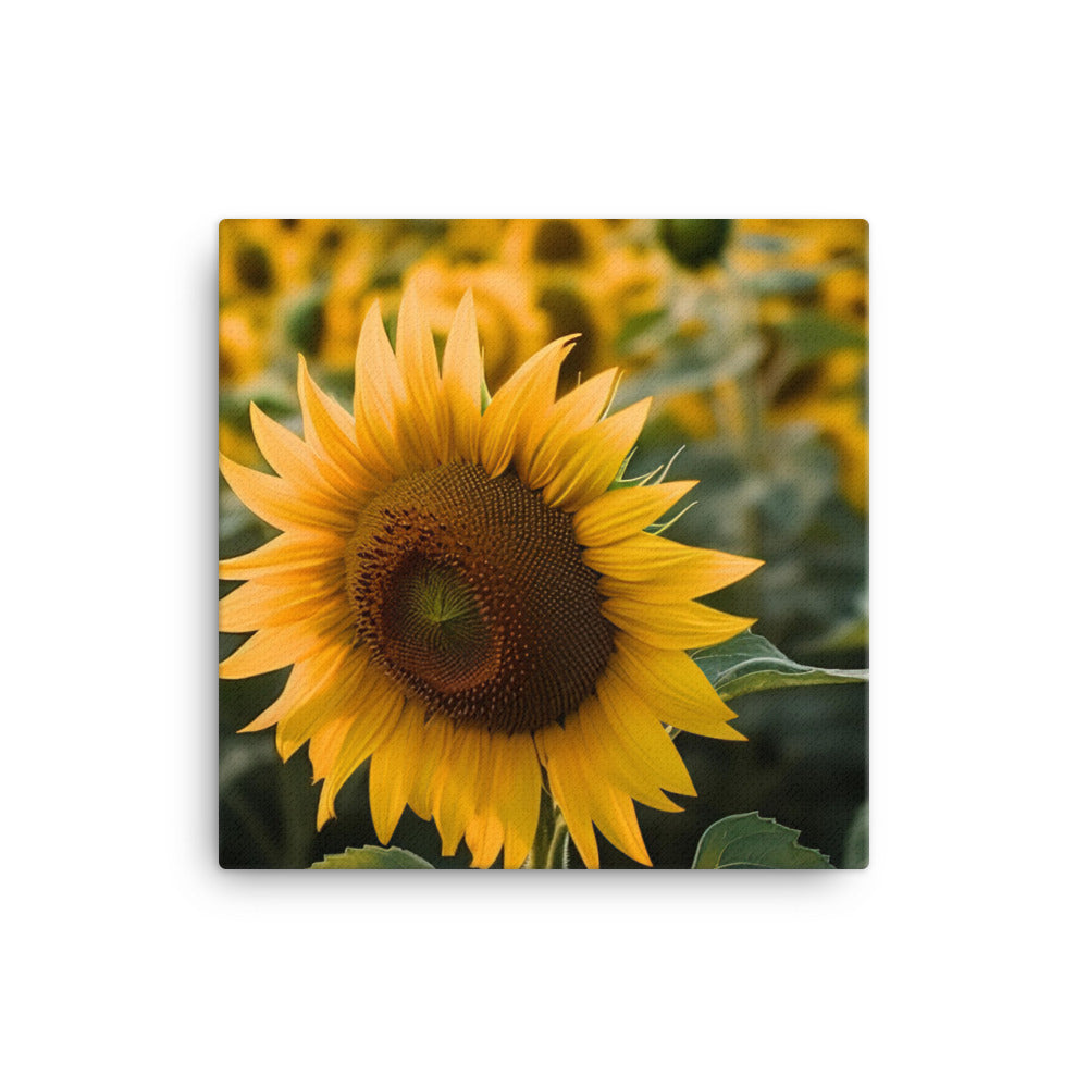 Sunflowers in the Sun canvas - Posterfy.AI