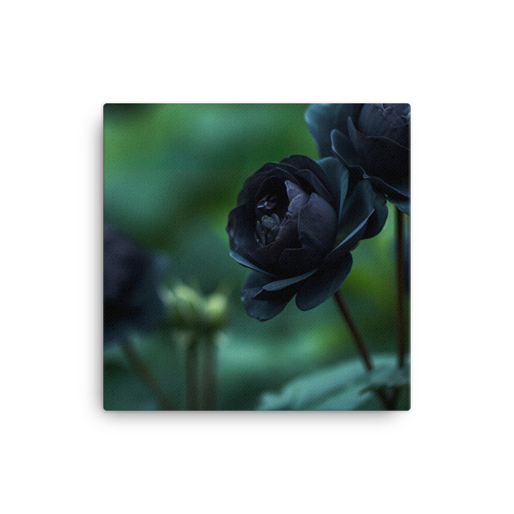 Mysterious Black Roses canvas - Posterfy.AI