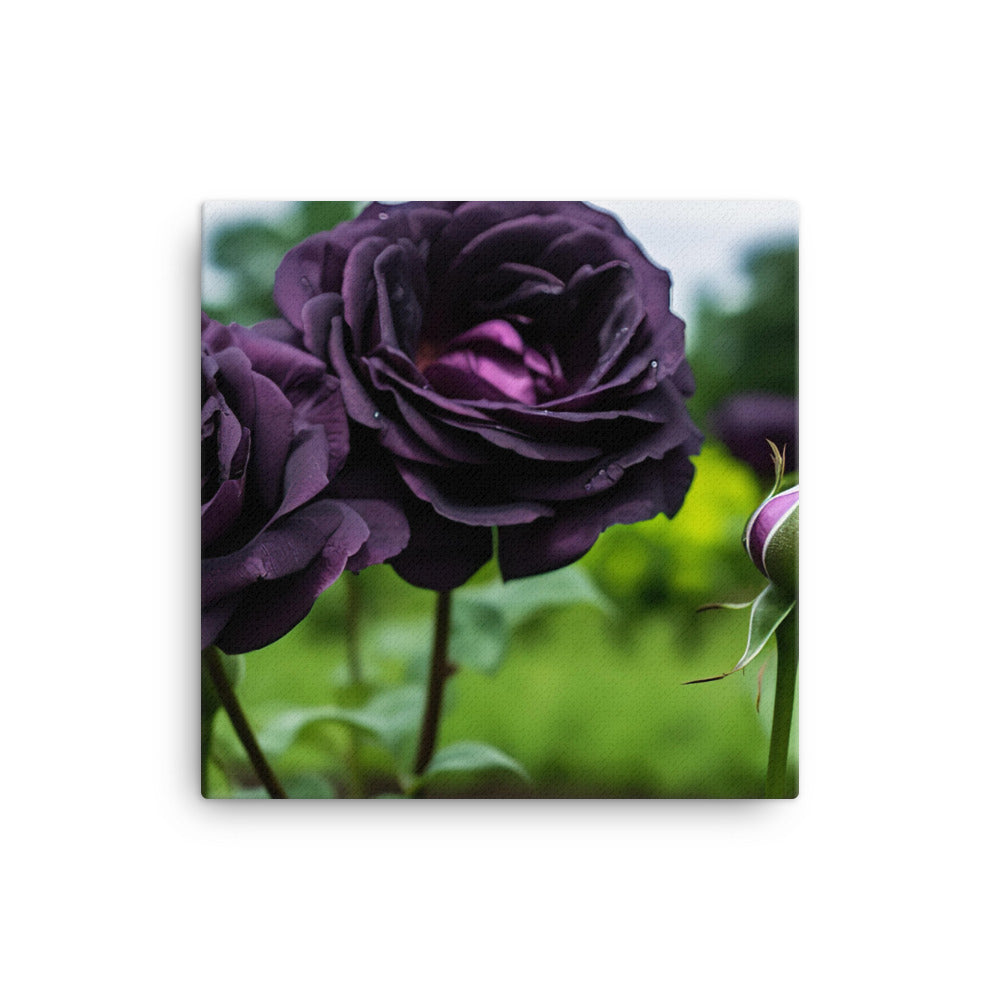 Mysterious Black Roses canvas - Posterfy.AI