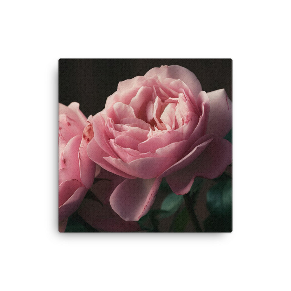 Blushing Pink Roses canvas - Posterfy.AI