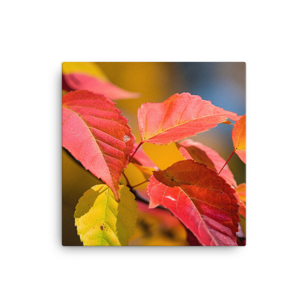 Vibrant Fall Foliage canvas - Posterfy.AI